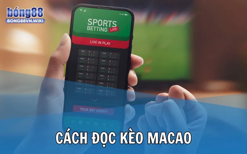 Giới thiệu kèo Macao trong thể thao Bong88 và các tỷ lệ cược phổ biến Cách đọc chiến thắng trong kèo