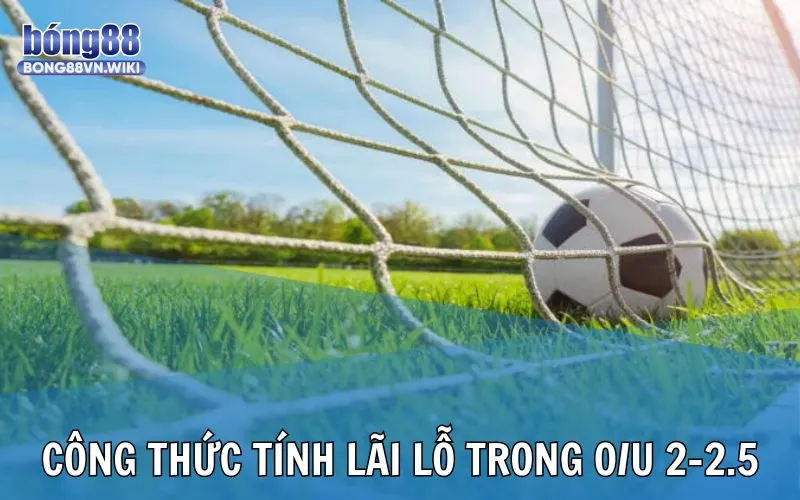 Kèo tài xỉu 2-2.5 và cách xác định thắng thua khi đầu tư tại Bong88 Công thức tính khoản lãi và lỗ khi đầu tư