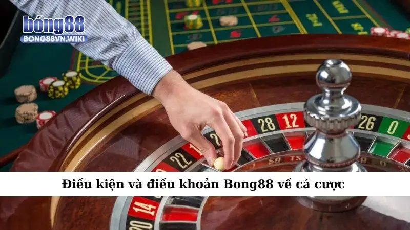 Điều kiện và điều khoản Điều kiện và điều khoản Bong88 về cá cược