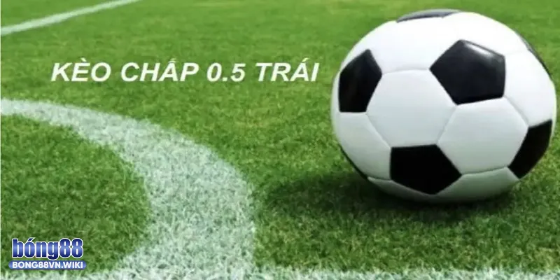 Giải mã kèo chấp 1/2 trong cá cược bóng đá Bong88 và hướng dẫn chơi Ký hiệu nhận biết trên bảng kèo