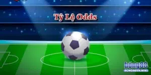 Tìm hiểu Odd là gì?