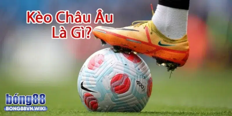 Kèo châu Âu là gì? Bong88 chia sẻ công thức tính tiền kèo 1X2 hiệu quả Tìm hiểu về kèo châu Âu
